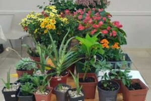 Lundi de Pâques 2026 à Mérignac